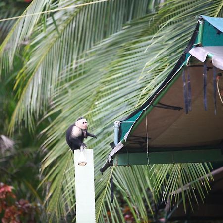 Rafiki Beach Camp Matapalo  Exterior foto