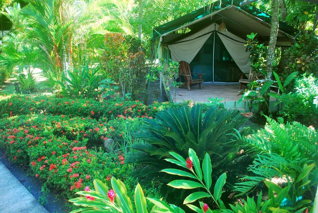 Rafiki Beach Camp Matapalo  Quarto foto