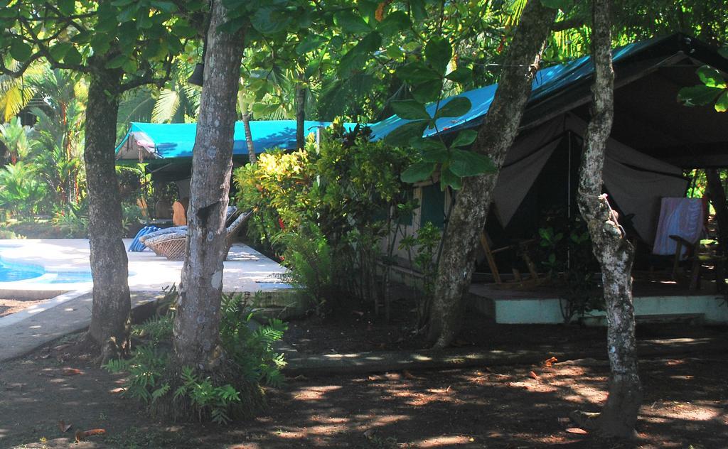Rafiki Beach Camp Matapalo  Quarto foto