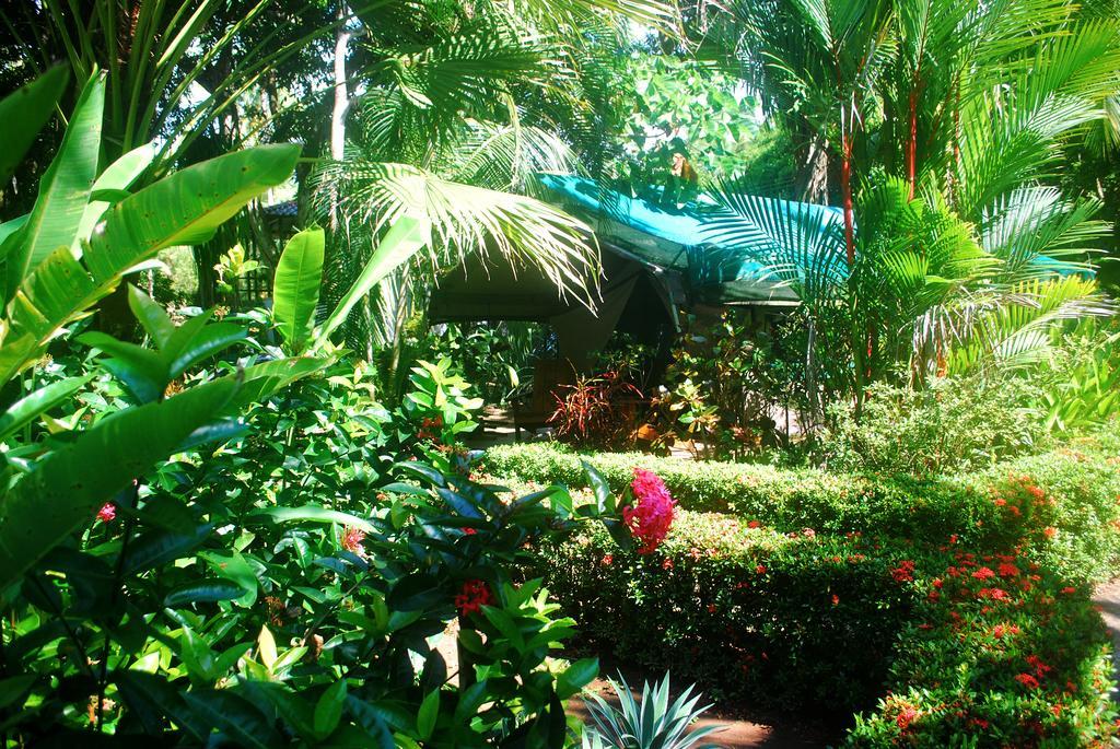 Rafiki Beach Camp Matapalo  Quarto foto