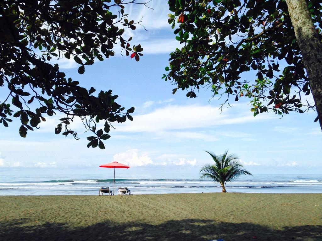 Rafiki Beach Camp Matapalo  Quarto foto